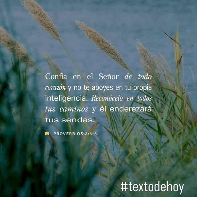 Confía en el Señor de todo corazón