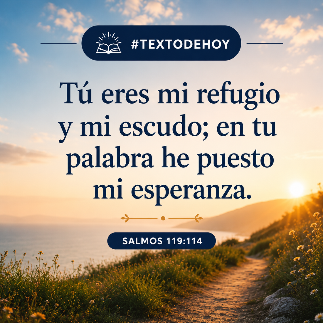 Refugio en medio de la incertidumbre