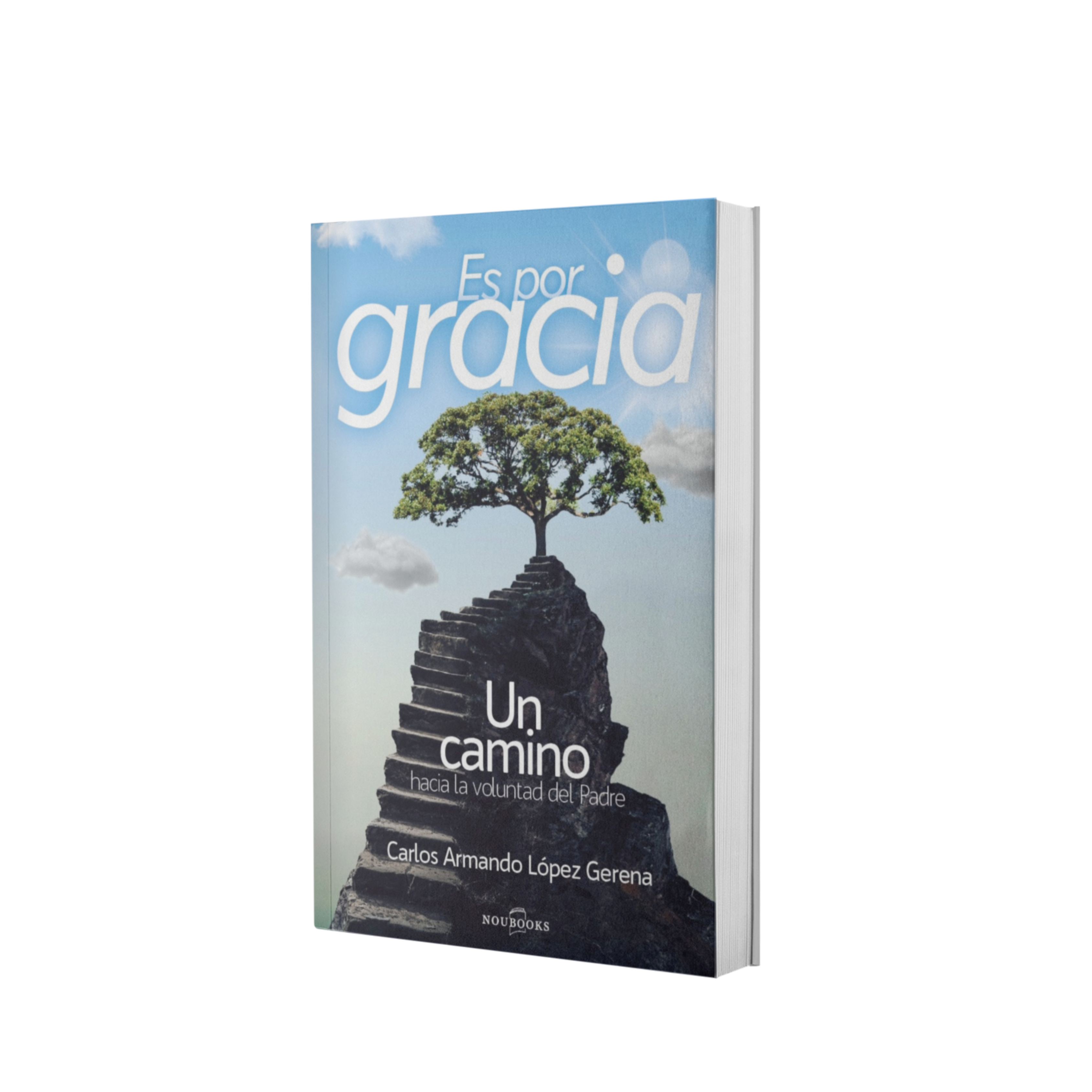 Es por gracia: Un Camino hacia la voluntad del Padre